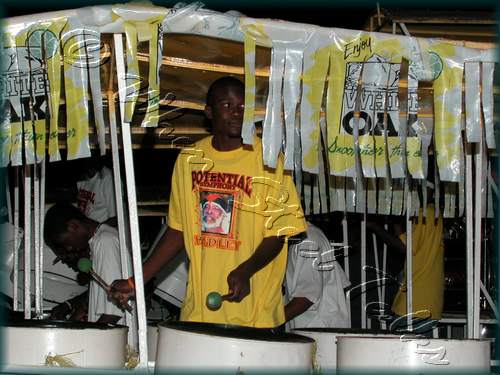 Potential Symphony__DSCN4179.JPG