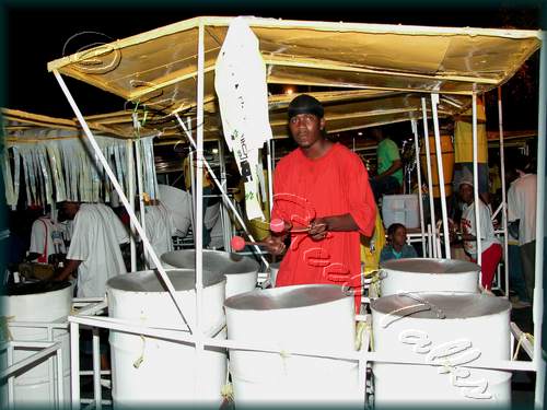 Potential Symphony__DSCN4180.JPG